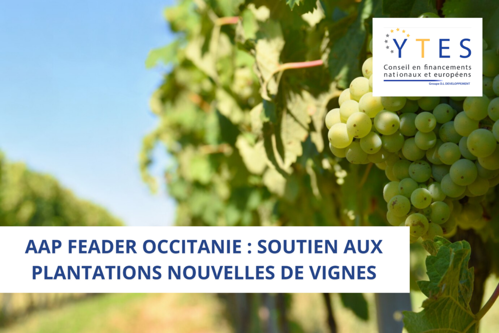 AAP FEADER Occitanie : Soutien aux plantations nouvelles de vignes