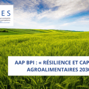 AAP BPI : « Résilience et Capacités Agroalimentaires 2030 »