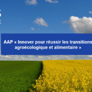 AAP « Innover pour réussir les transitions agroécologique et alimentaire »