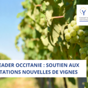 AAP FEADER Occitanie : Soutien aux plantations nouvelles de vignes