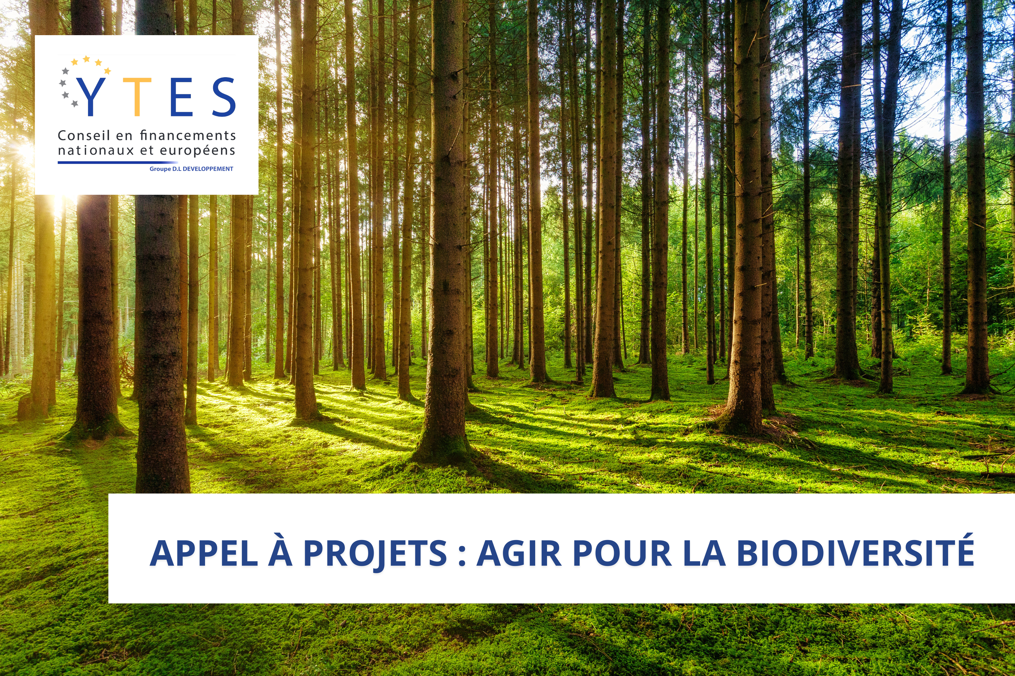 Appel à projets : agir pour la biodiversité