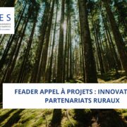 FEADER Appel à projets : Innovation et Partenariats ruraux